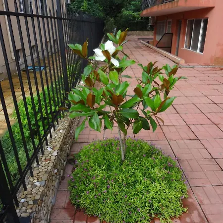 Lazur Apartment *